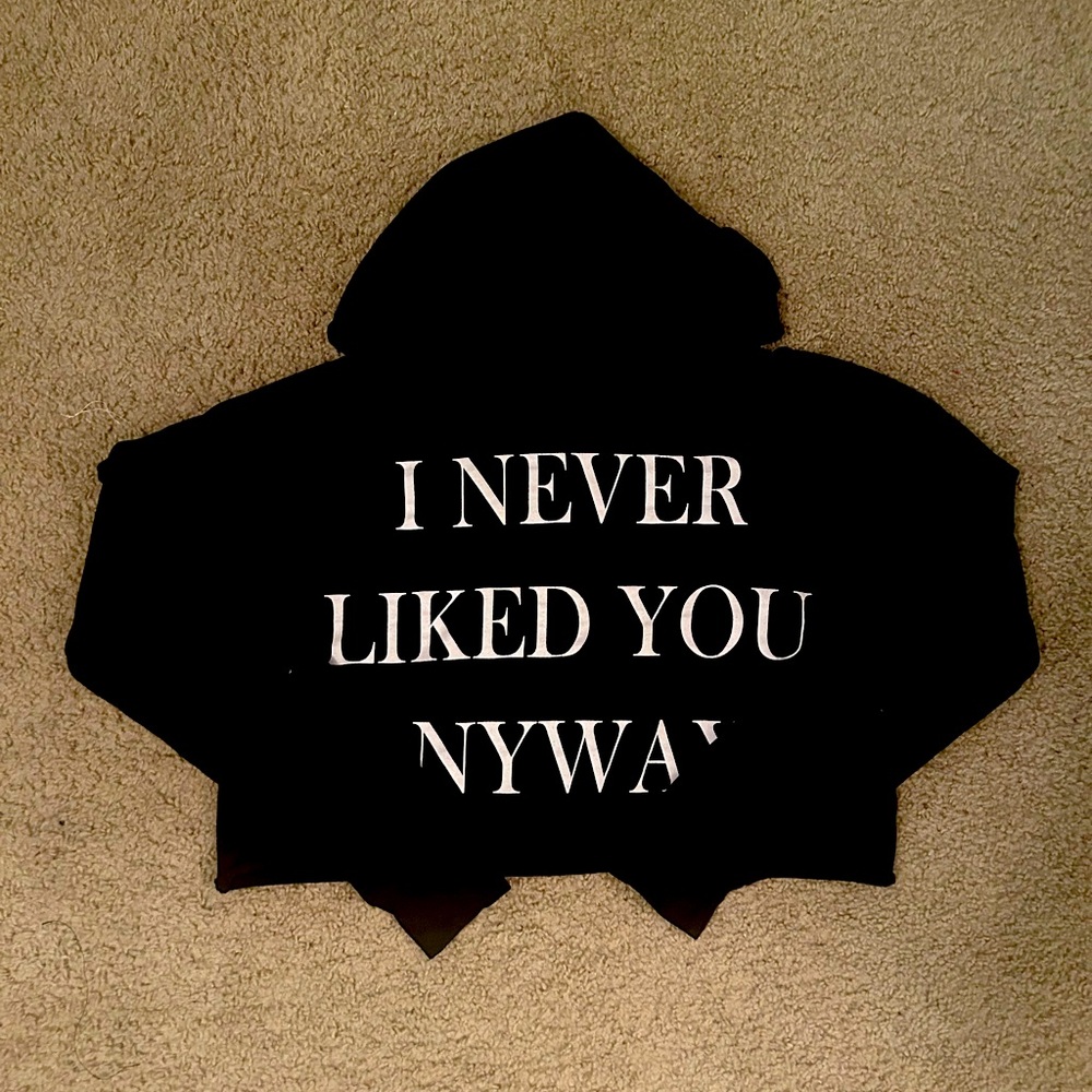 I never liked you anyways hoodie